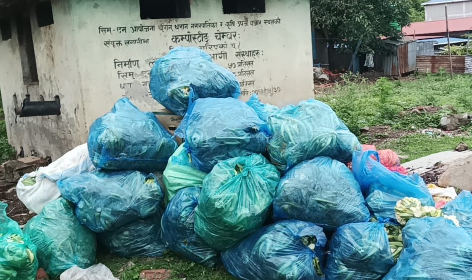 तराईका बजारमा विषादीयुक्त तरकारी छ्यापछ्याप्ती
