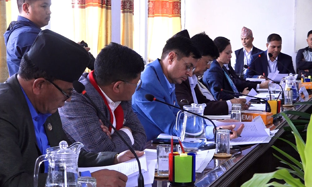 बजेट विनियोजनमा अपारदर्शिता र हुण्डी नियन्त्रणमा अर्थ समितिको चासो