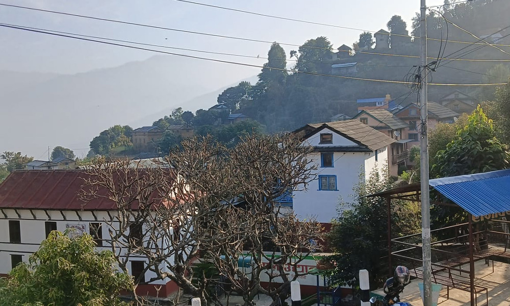 किसानलाई बाँदरको चिन्ता, समात्नेलाई एक हजार नगद