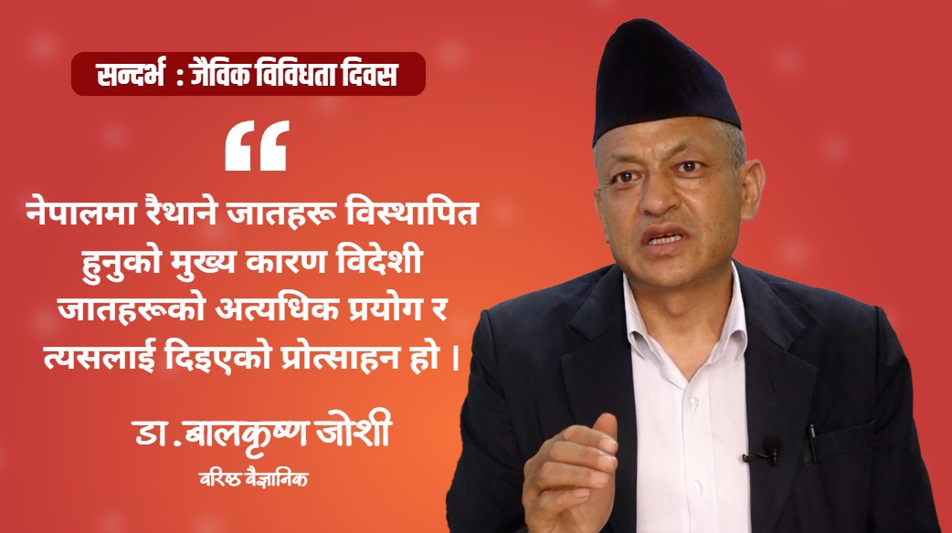 नेपाली भान्सा र किसानका खेतबारीमा ९५ प्रतिशतसम्म परनिर्भरता देखिएको छ : डा.बालकृष्ण जोशी