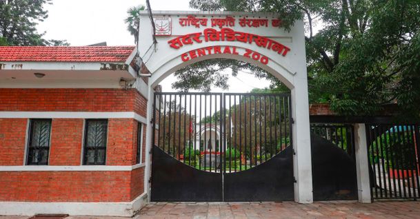 किन बन्द भयो जावलाखेलको चिडियाखाना ?