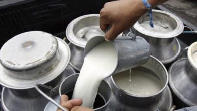 दूधमा आत्मनिर्भर बन्दै मधेश प्रदेश