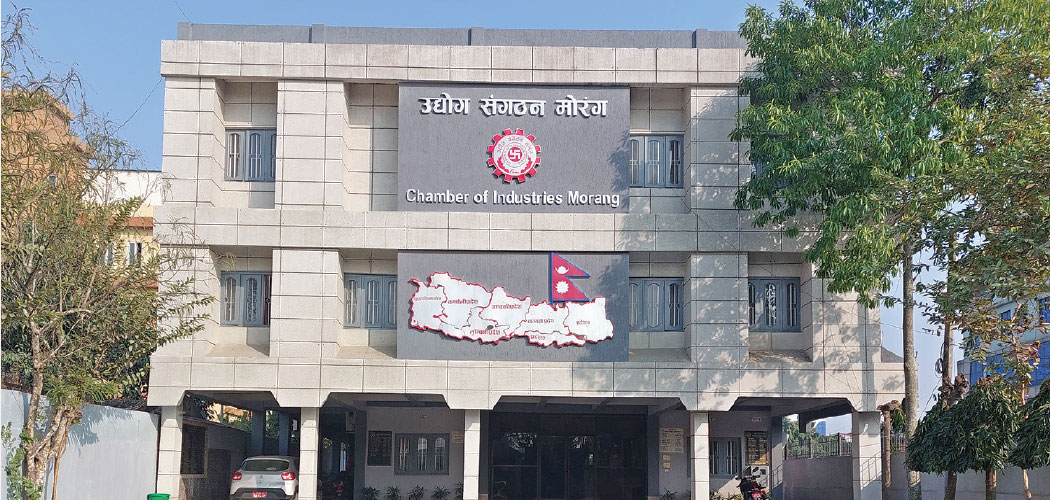 आन्दोलनमा विध्वंस मच्चाउनेलाई कारबाही नहुने गृहको अभिव्यक्ति प्रति व्यवसायीको आपत्ति