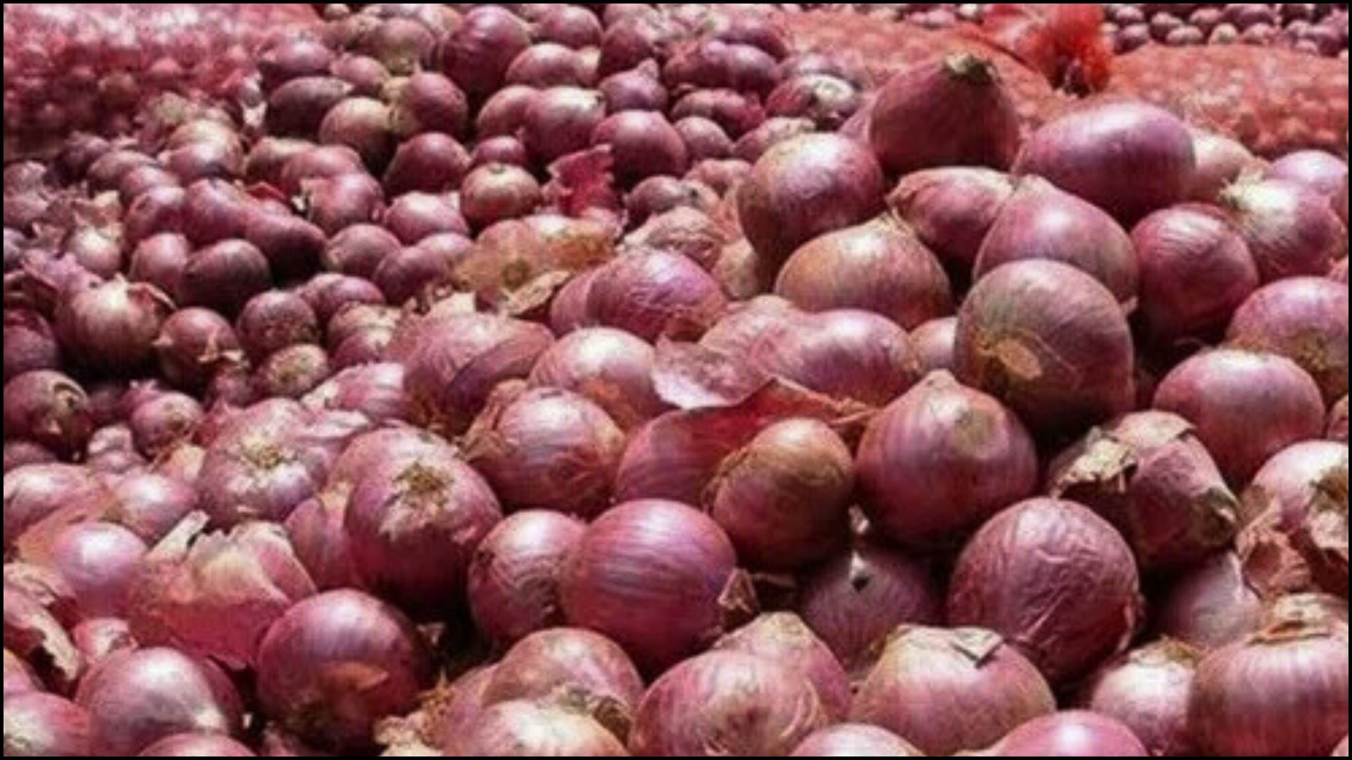 भारतीय बजारमा महंगियो प्याज, नेपालमा पनि बढ्यो