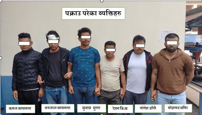 मोबाइल चोरीमा संलग्न पसल सञ्चालकसहित ६ जना पक्राउ