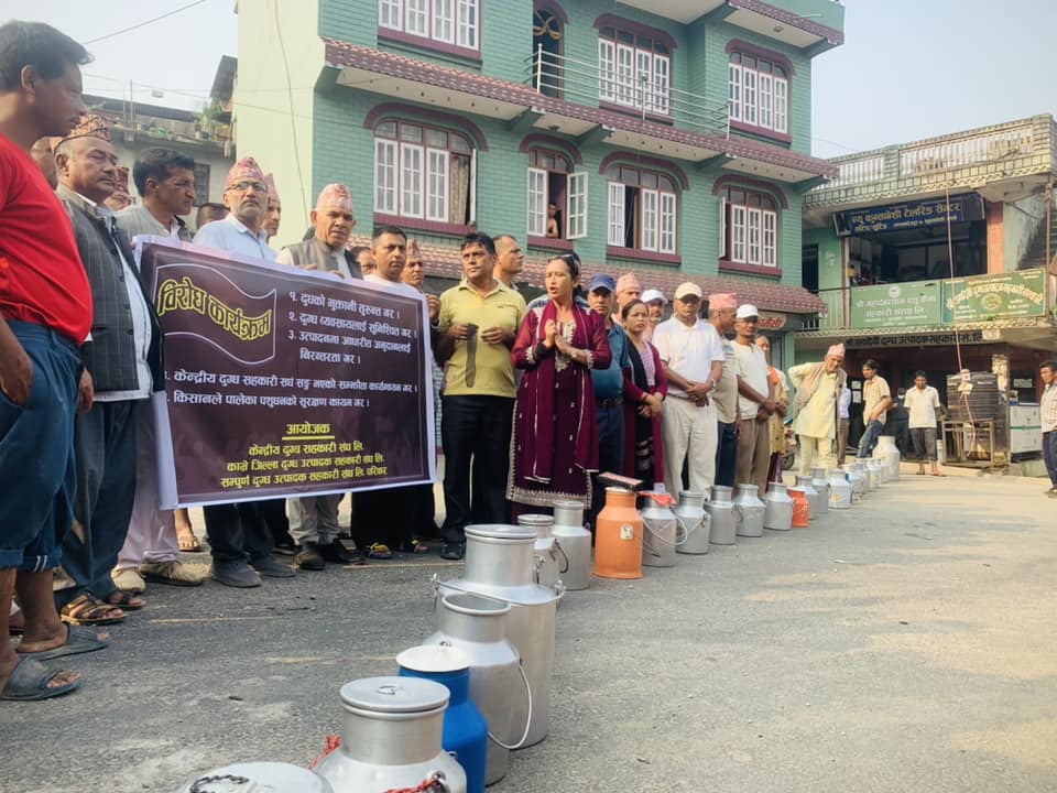 ५ महिनायता दूध बेचेको पैसा नपाएपछि क्यान बोकेर सडकमा उत्रिए किसान
