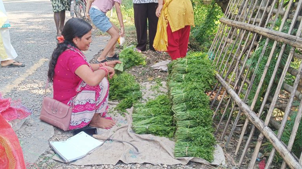 निगुरो व्यापार: लगानी बिना नै लोभलाग्दो आम्दानी