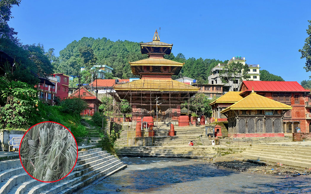भाद्रकृष्ण औँसी : गोकर्णे औँसी (कुशे औँसी), पितृ सम्मान दिवस
