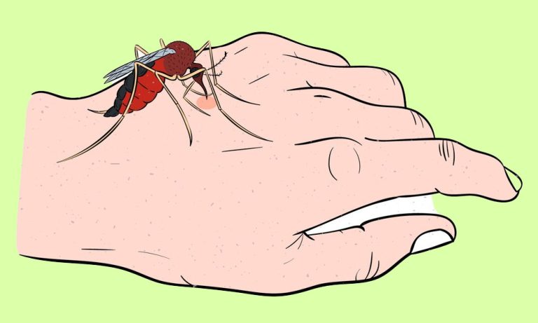 काठमाडौँमा डेङ्गी सङ्क्रमणको जोखिम बढ्यो, सचेत रहन आग्रह