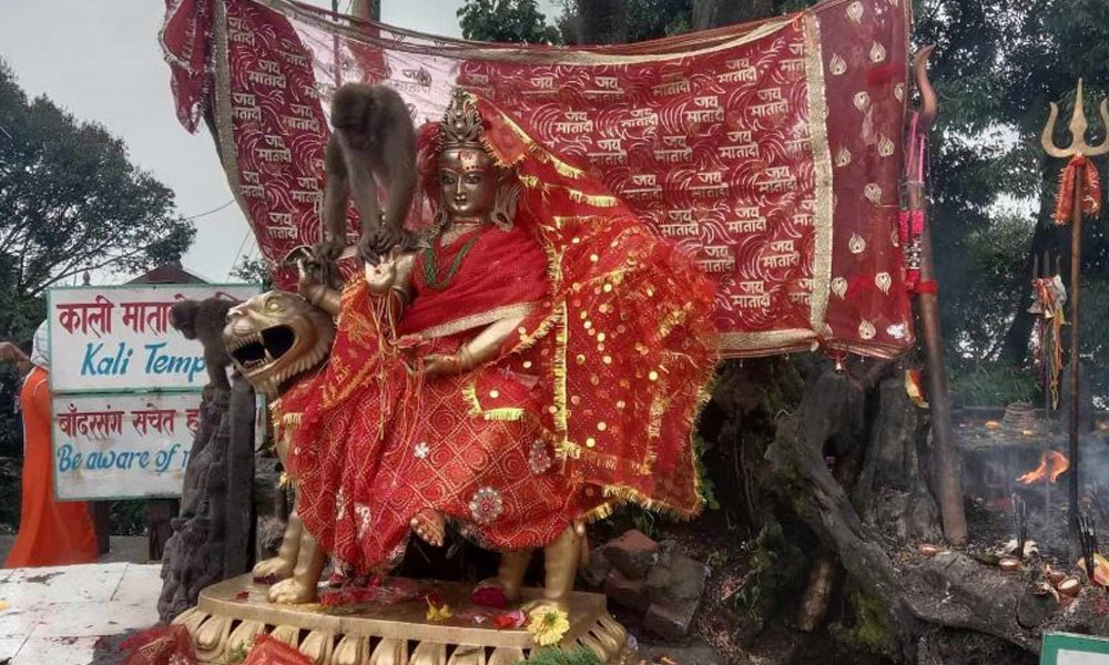 पाथीभरामा एकैदिन पन्ध्र सय बढी भक्तजन