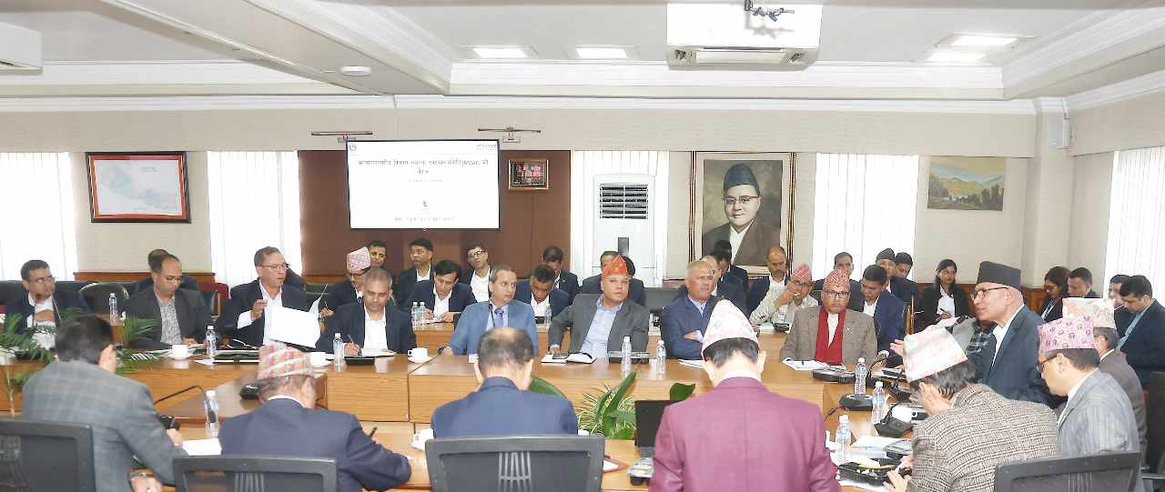 अर्थतन्त्रका सबल सूचकको जगमा टेकेर कमजोर क्षेत्र सुधार्न अर्थमन्त्रीको निर्देशन