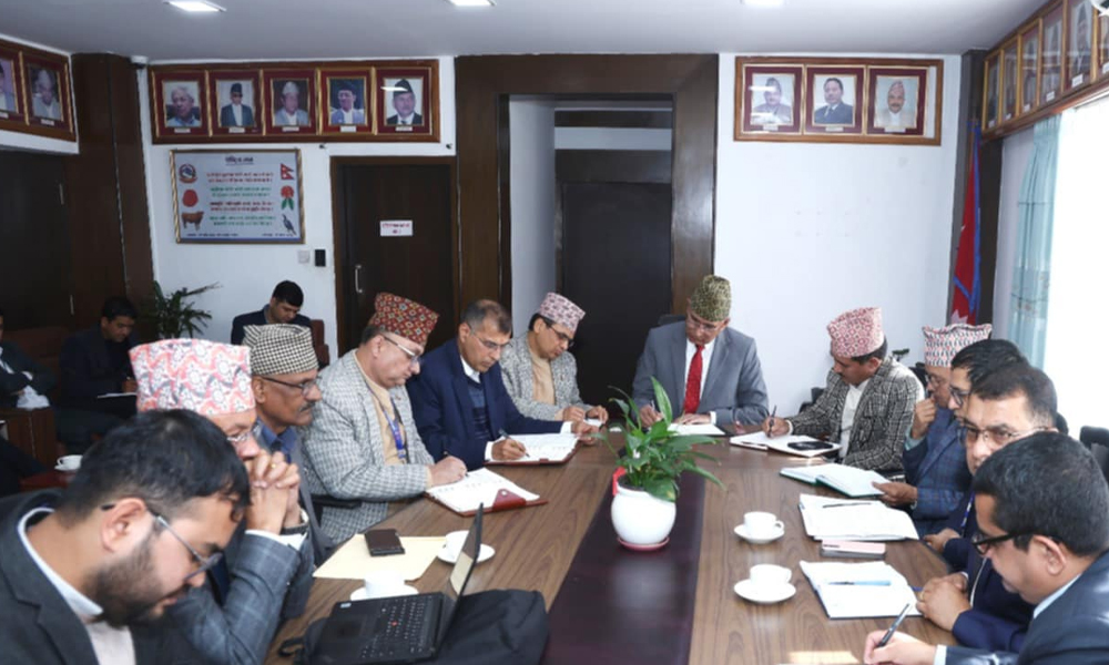 नौ वर्षसम्म लेखापरीक्षण नगरेको राष्ट्रिय जीवन बिमा कम्पनीलाई चार महिनाभित्र सक्न अर्थ मन्त्रालयको निर्देशन