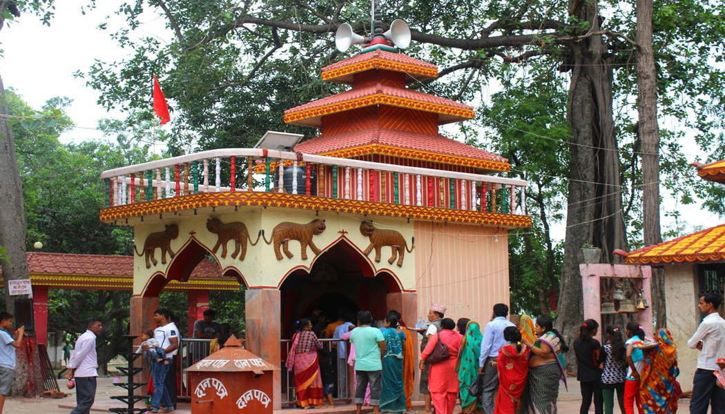 गढीमाई मेलामा दर्शनार्थीको घुइँचो, दश हजारभन्दा बढी राँगाबलि दिइयो