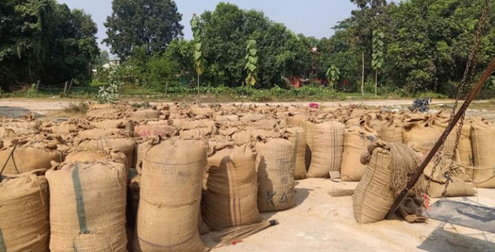 पाँच महिनामा वीरगञ्जबाट तीन अर्ब ९३ करोडको धान आयात