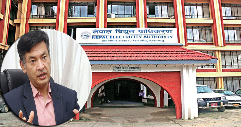 विद्युत् प्राधिकरणमा माथिल्लो तहका कर्मचारीहरुको स...
