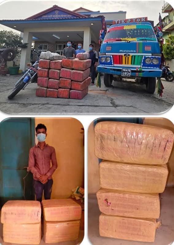 ३६७ किलो १४० ग्राम लागू औषध गाँजा सहित ५ जनालाई पक्राउ